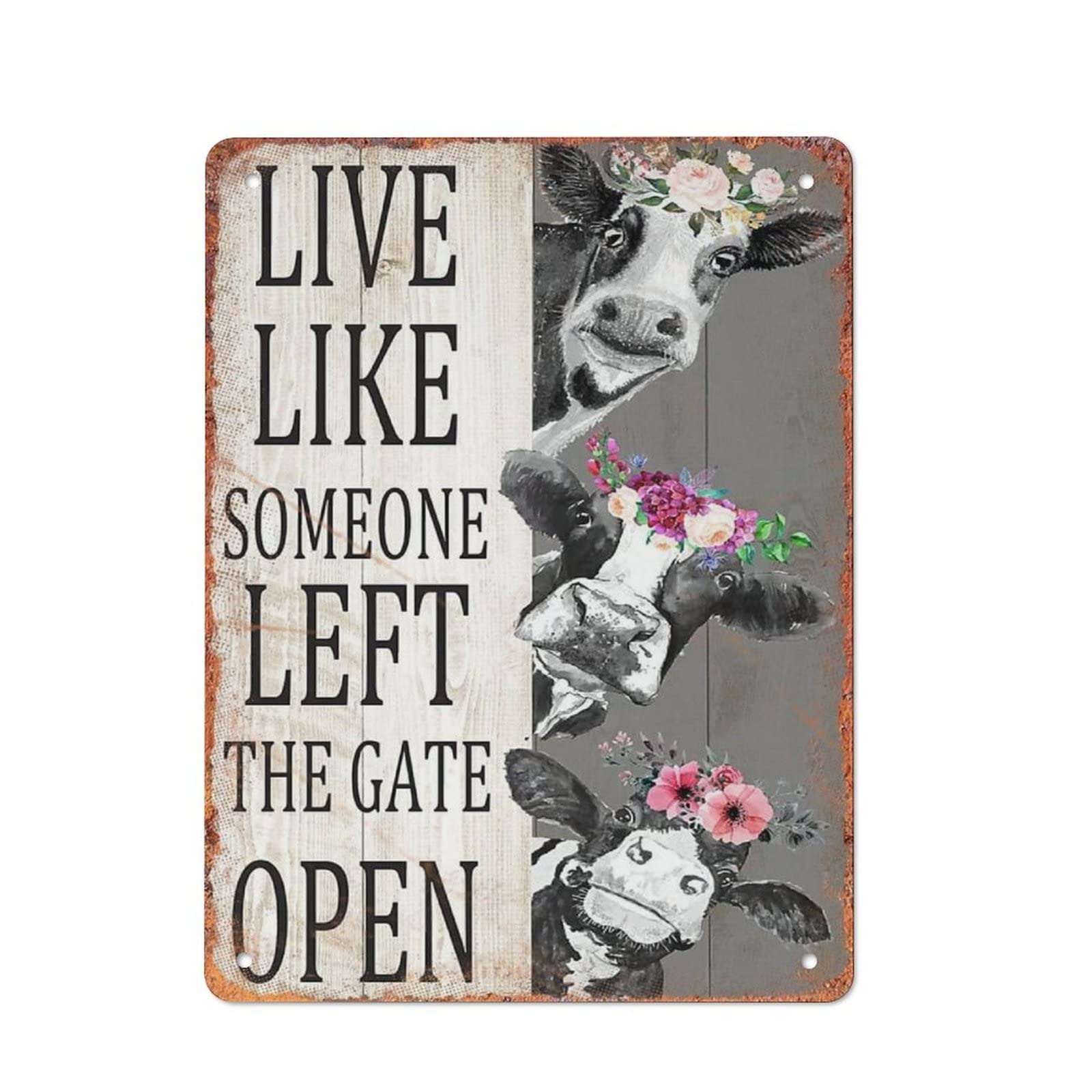 Cow Live Like Someone Left The Gate Open
