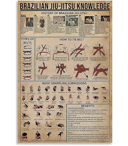 Cartel De Metal Retro De 8 X 12 Pulgadas, Póster De Jiu Jitsu Brasileño De Artes Marciales, Póster De Jiu Jitsu, Póster De Jugadores De Jiu Jitsu, Arte De Pared De