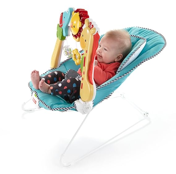 fisher price 2 in 1 sensory stages bouncer
