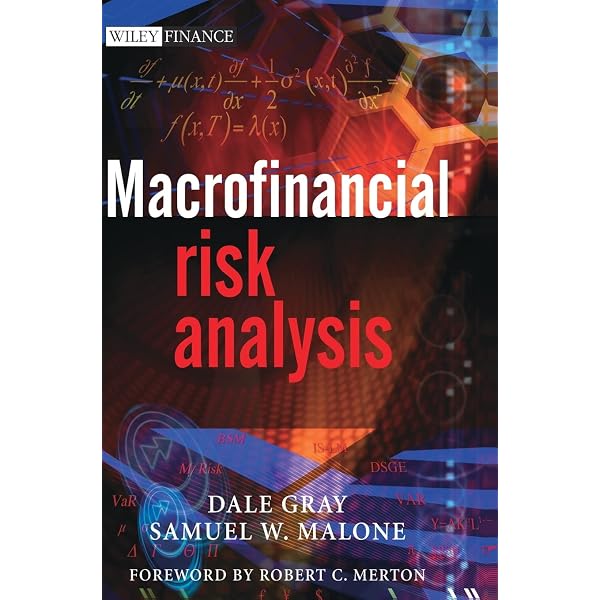 FX Options and Smile Risk (The Wiley Finance Series