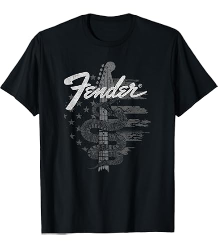 Amazon.com: Fender Stratocaster Sparkling Guitar Vintage Poster T