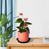 Kunjocy Pack of 5 Black Plant Pot Saucers 23 cm Round Trays view 4