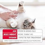 Beaphar FIPROtec Spot-On Cats 12 Treatments Flea Tick Vet Medicine view 6