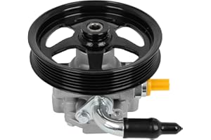 ECCPP Power Steering Pump fit for Chevrolet Caprice PPV 2011 6.0L for Pontiac G8 Base/GT/GXP 2008-2009 3.6L 6.0L 6.2L Replace N7300129, 92174214