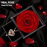 SWEETIME Preserved Real Rose, Eternal Flower Gift for Special Occasions view 3