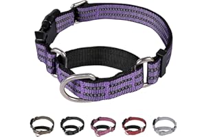Hikiko Martingale Dog Collars Reflective Nylon Dog Collar with Quick Release Buckle Adjustable Training No Slip Dog Collar (Large, Purple)