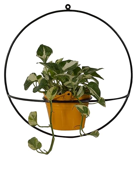 Green Gardenia Iron Yellow Round Shape Wall Bracket with Bucket (GGWIRDWBPY-6, 40 cm x 40 cm x 17 cm, Yellow)