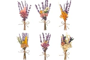 Fuyamp 6Pcs Mini Dried Flower Bouquet Set About 5-7'' Natural Small Dry Flowers Bundle for Photo Frame DIY Crafts Home Party Wedding Gift Decoration( Purple)