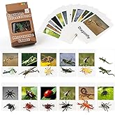 Montessori Insect Animal Match Cards,Montessori Materials Animal Matching Cards,Insect Learning Toy for Toddlers,Learning Toy