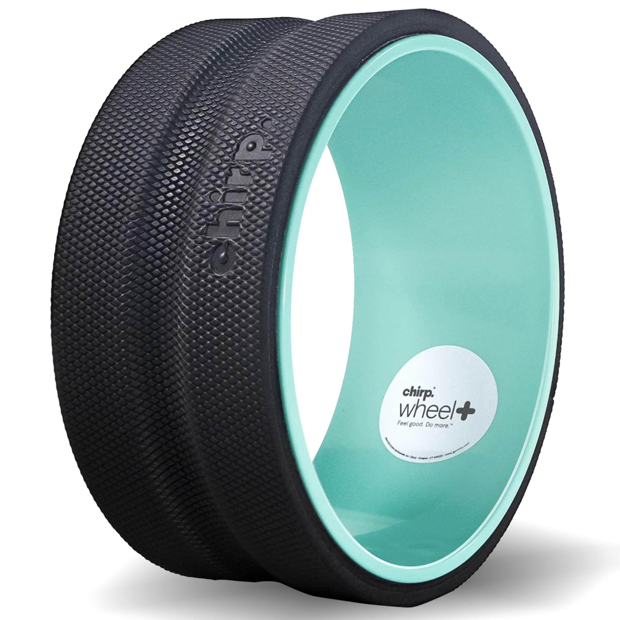 Chirp Wheel Back Stretcher