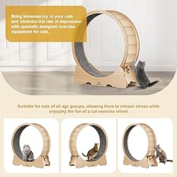 Cat Wheel, 43" L Large Cats Exercise Running