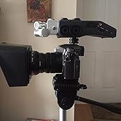 Padcaster parrot