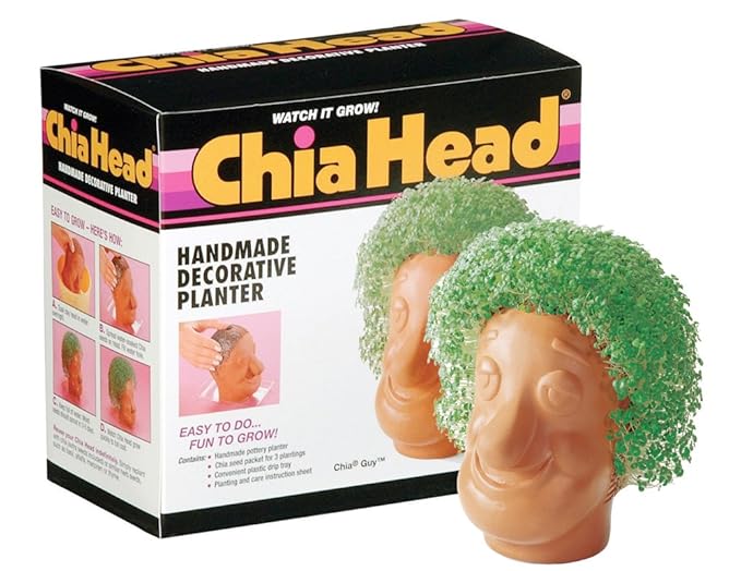 Chia Pet Head, Chia Guy 1 Ea Amazon.in Home & Kitchen