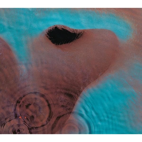 Pink Floyd - Meddle - Amazon.com Music