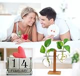 XXXFLOWER Plant Pots Wooden Stand Glass Vase Terrarium Propagation Station view 5