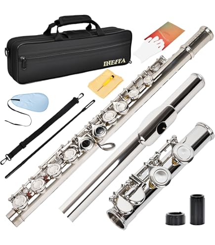 Amazon.com: Trevor James 10X Flute with Curved & Straight