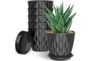 GDJUQZ 6 Pack 6 Inch Indoor Plant Pots with Drainage Holes, Outdoor Plastic Decorative Flower Pots, Garden Planters with Tray Saucers for Orchids, Violets, Succulents, Herbs, and Other Plants