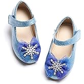 THEE BRON Mary Jane Ballet Flats - Girls' Dress Shoes with Hook & Loop Closure