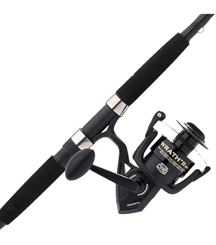 Daiwa DWB40-B/F702M D-Wave Saltwater Spinning Combo, 2 Piece, 7' Deportes y Aire Libre