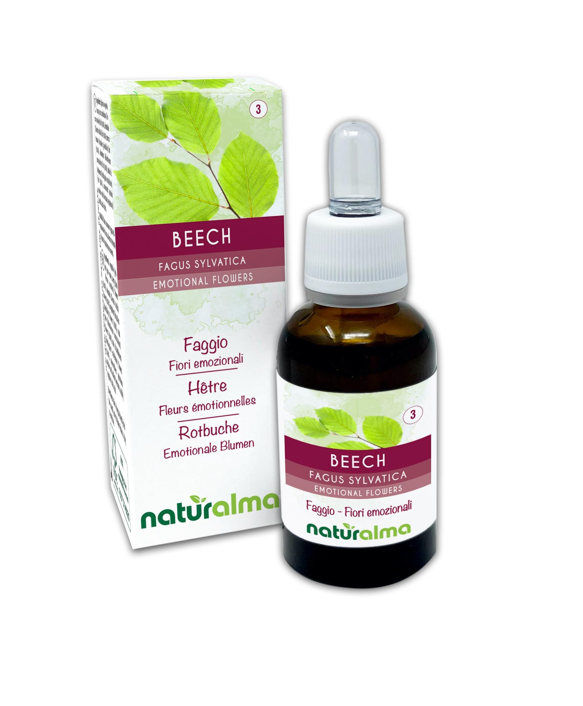 Beech (Fagus sylvatica) Naturalma Emotional Flowers or Bach Flowers - Drops 30 ml - Alcohol-Free Liquid Extract - Flower essences - Vegan and Without Alcohol