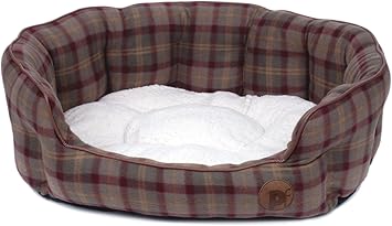 disneyland puppy dog pals