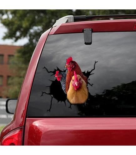 Crazy Chicken Lady Funny Bumper Sticker (2 Pack) - 4 Inch Vinyl Decal For Car, Truck, Laptop, U.S. Made