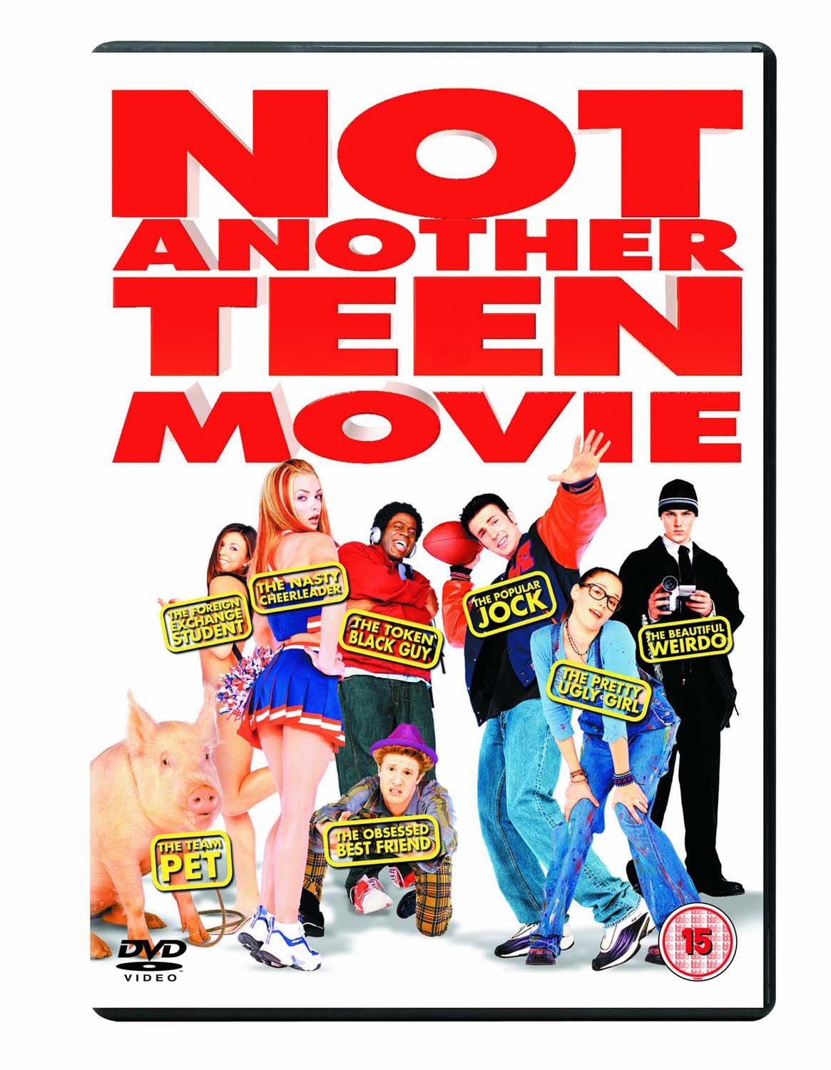 Not Another Teen Movie [DVD] [2017]