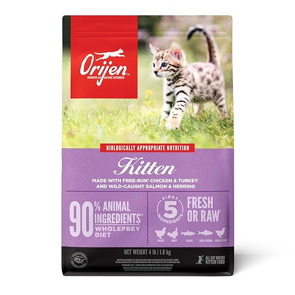 ORIJEN DRY KITTEN FOOD, GRAIN FREE FOOD FOR KITTENS, WITH WHOLEPREY INGREDIENTS, 4LB