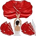 HunnmingRe 4 Set Worship Flags for Dance 29.5 x 39.3 Inch Praise Church Flags with 4 Pcs Scalable Rod, Semicircle Worship Angel Wing Flags for Girls Adults Practice Performance