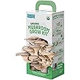 Back to the Roots Organic Oyster Mushroom Grow Kit, Harvest Gourmet Mushrooms In 10 Days