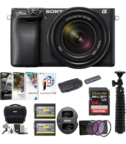 Amazon.com : Sony Alpha a6400 Mirrorless Digital Camera with 18