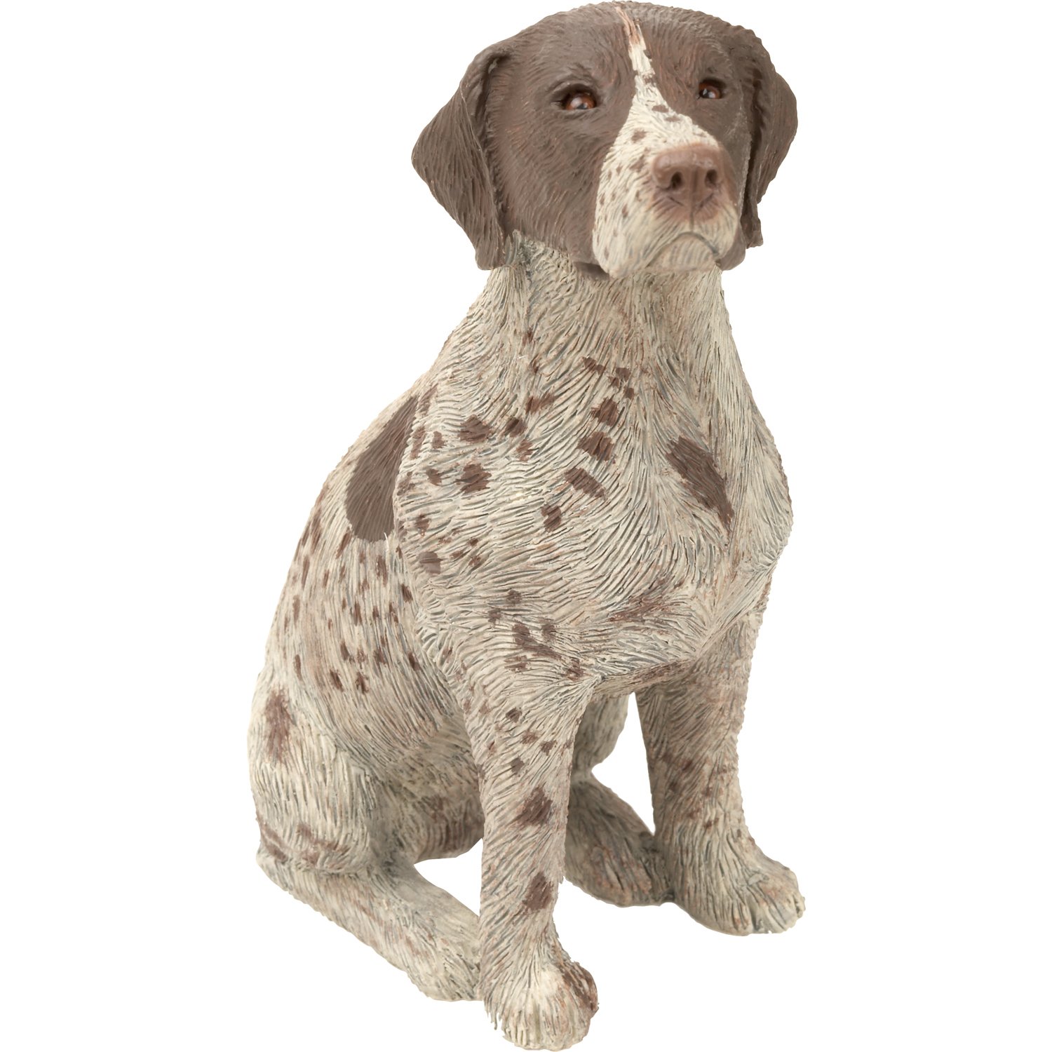 Amazoncom Sandicast Mid Size German Shorthaired Pointer