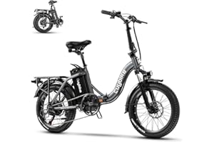 bluebiko 1000W Folding Electric Bike, 48V 𝟏𝟓/𝟐𝟎𝐀𝐇 Removable Battery E Bike, 30+MPH, 70 Miles Max Range Electric Bike for Adults, 20“ Fat Tire, Adult Electric Bicycles for Commute Beach Snow
