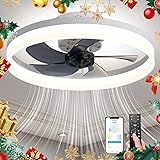 LCYFBE 20" Small Bladeless Ceiling Fan with Lights