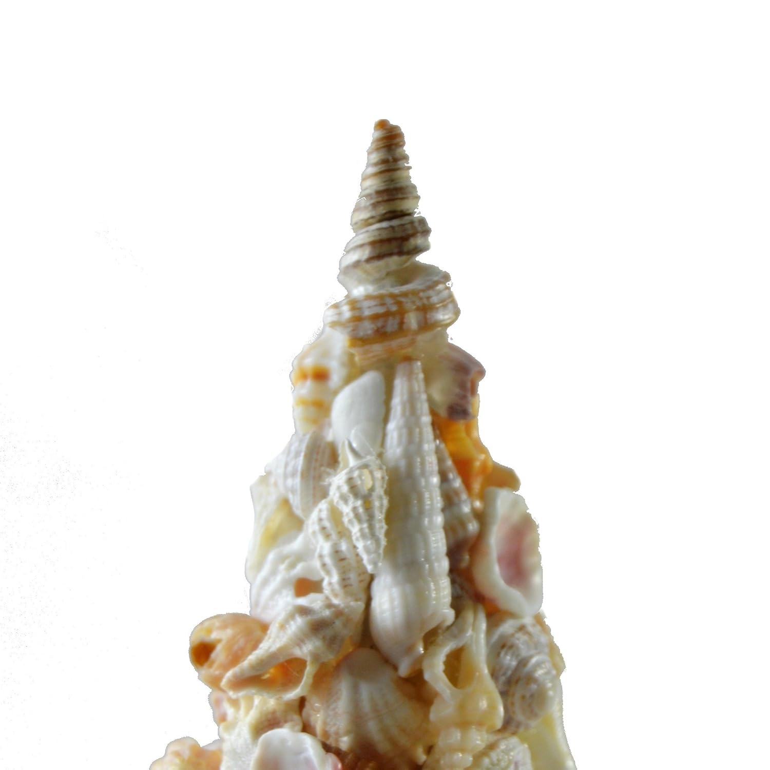 Amazon Com Seashell Christmas Tree Beach Cottage Shell Topiary