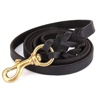 Laisse pour chien en cuir FAIRWIN 6 Pied - Laisse d'entra&icirc;nement robuste tress&eacute;e pour grand petit chien de course et de marche
