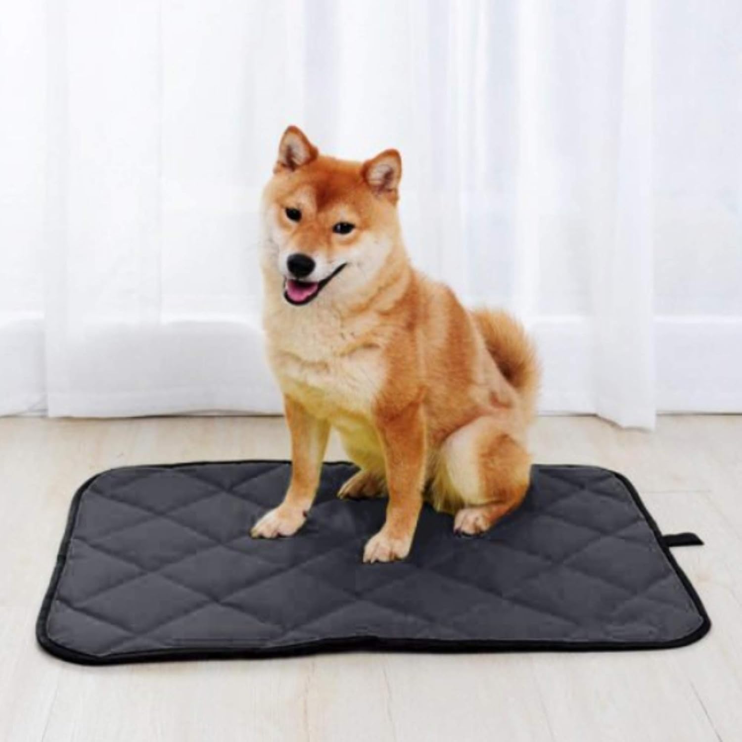 sleeping mat for dogs