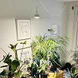 Grow Gang Pianta 18W Full Spectrum LED Grow Light E27 White 3400K 33.1 PPF view 6