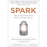 Spark: How to Lead Yourself and Others to Greater Success