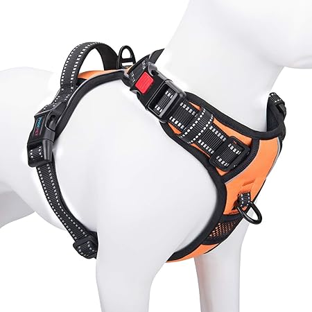 dog harness name