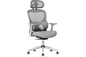 GABRYLLY Office Chair, Ergonomic Desk Chair with Adjustable Lumbar Support, 3D Armrest, Headrest, 4-Level Tilt Back, Home Mesh Chair with Wide Cushion Seat & PU Wheels for Adult Student