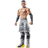 WWE AKIRA TOZAWA CORE FIGURE