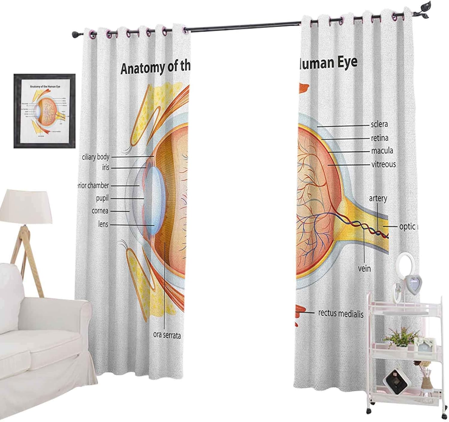 YUAZHOQI Educational Blackout Window CurtainHuman Eye Anatomy Cornea