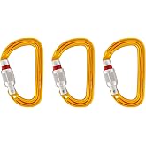 Petzl Sm'D Rock Climbing Carabiner | Versatile, Lightweight, Compact, D-Shaped Locking, for Rock &amp; Ice Climbing