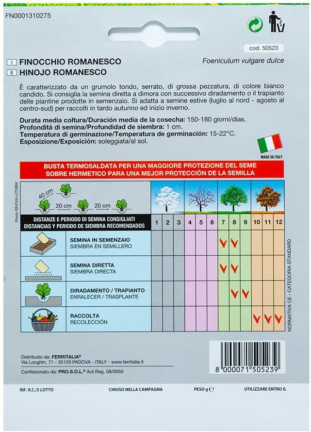 Semillas Hinojo (5 Gramos): Amazon.es: Jardín