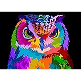 ifymei Paint by Numbers for Kids - DIY Canvas Oil Painting Gift Kits for Boys and Girls - 16” x 20” Colorful Owl [Without Fra
