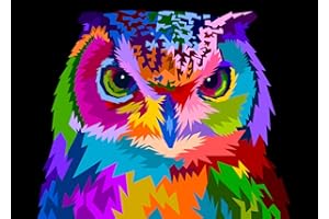 Maomaomi Paint by Numbers DIY Acrylic Painting Kit for Kids & Adults Beginner – 16" Wx20 L Colorful Olw Pattern