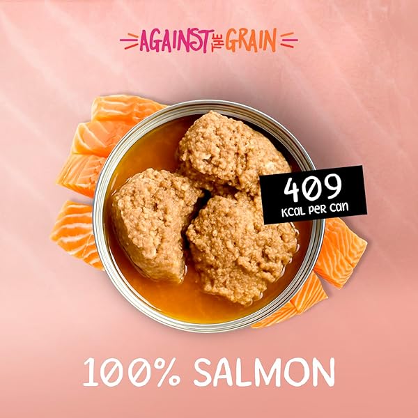 EVANGER’S AGAINST THE GRAIN NOTHING ELSE! 100% SALMON DOG FOOD – 12 COUNT, 11 OZ EACH – SINGLE-INGREDIENT MEATBALL TEXTURE IN NATURAL BROTH – WET DOG FOOD – GRAIN & GLUTEN FREE