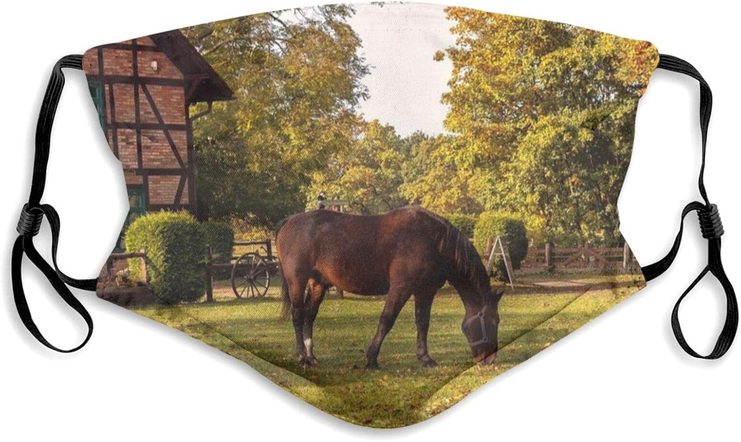 Animals Horse Farm Unisex Adult Face_Masks,Washable Reusable Face_Masks