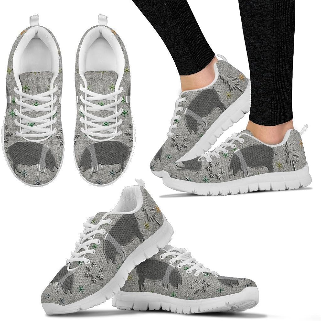 british running shoes